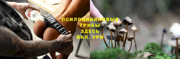 прущий лед Алексин
